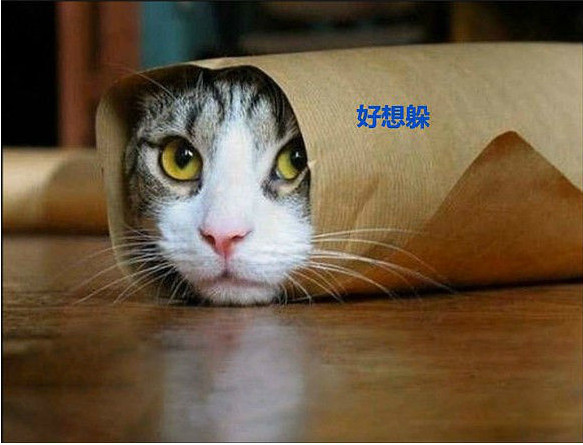 【找乐】专治不开心,看完心情会变好哦