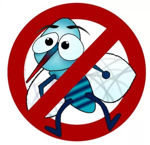 有了它,蟑螂、蚊子就再也不敢进房间了…