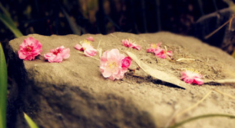一个<em>出轨</em>男人的<em>自白</em>:妻子和情人的区别!_订阅