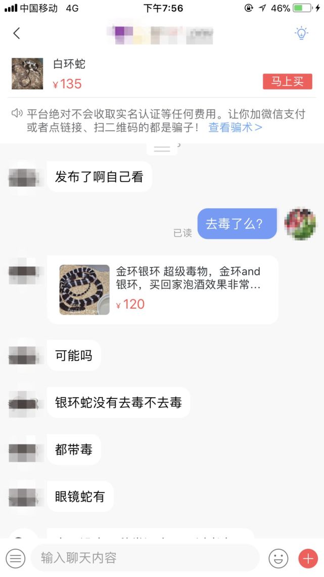 女孩网购银环蛇被咬身亡 广东卖家否认卖蛇给死者