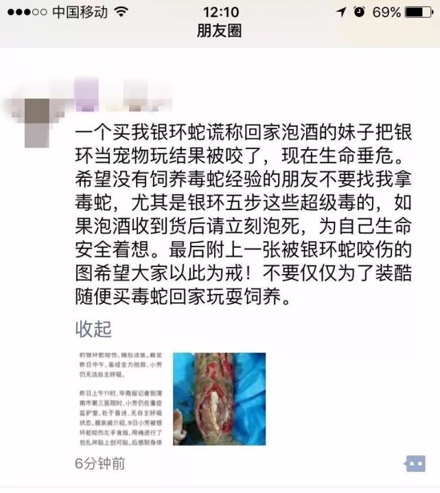 女孩网购银环蛇被咬身亡 广东卖家否认卖蛇给死者