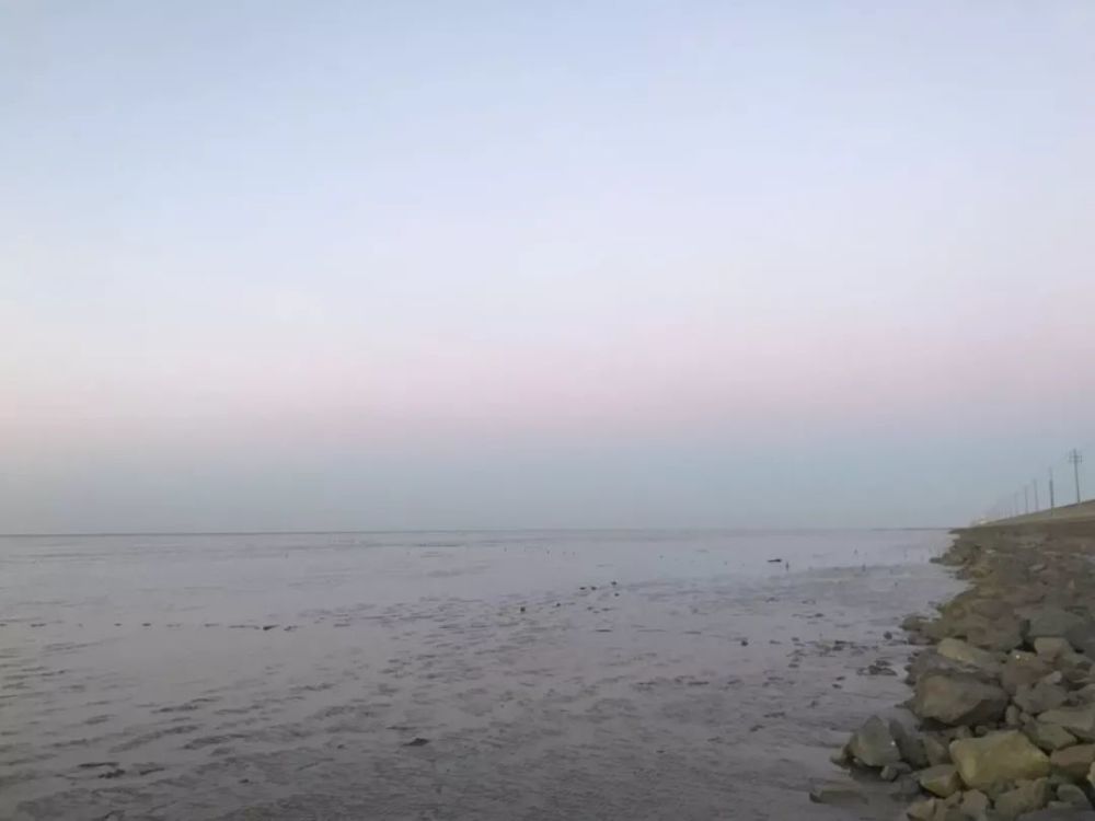 宁波杭州湾新区每日一拍:海边抓螃蟹!