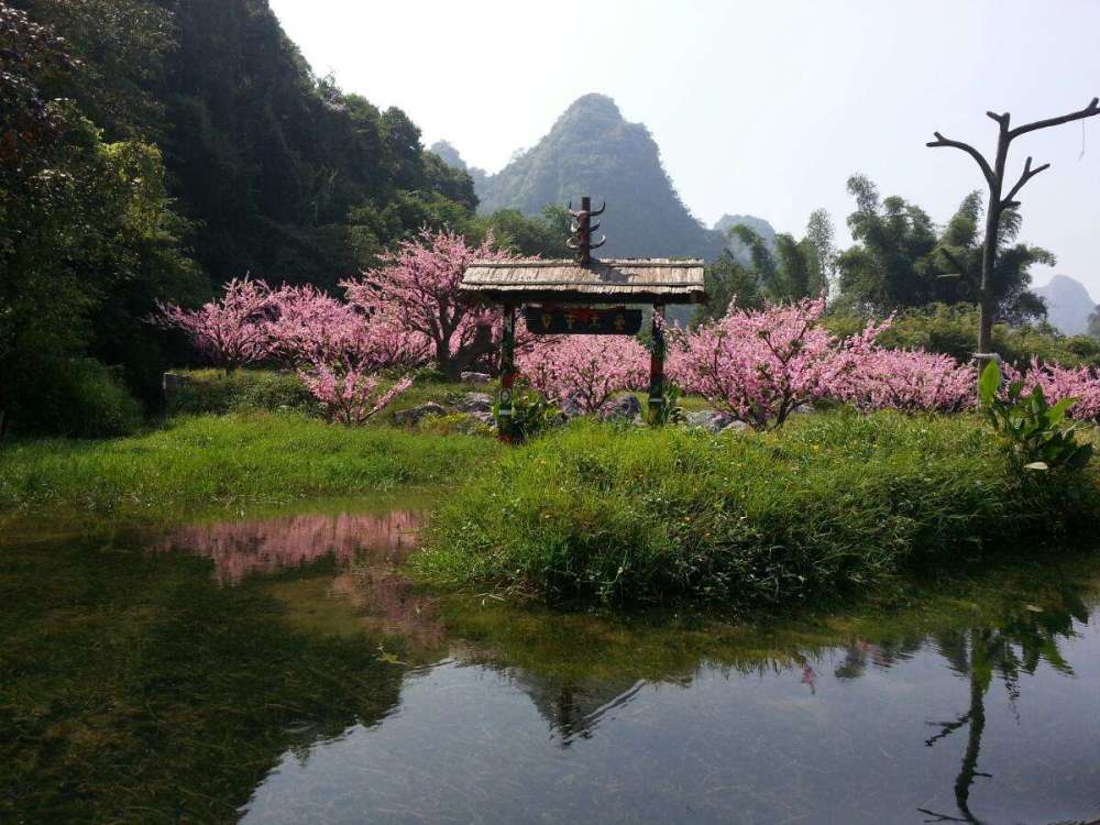 昭通镇雄有多少人口_云南人口第一大县 人口比丽江还多,未来有望 撤县设市(3)