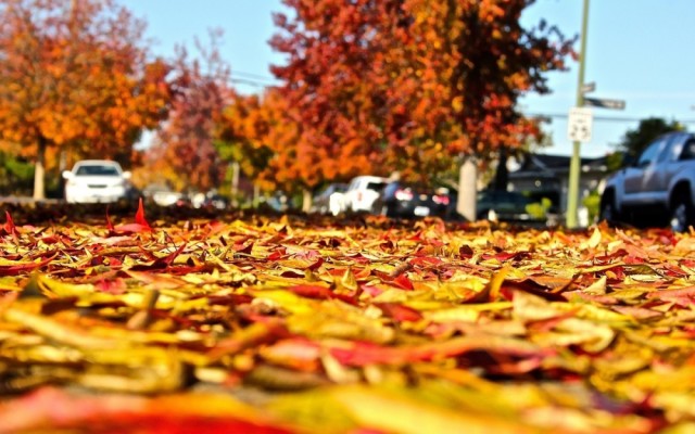 以史为鉴:是什么让硅谷登上神坛?