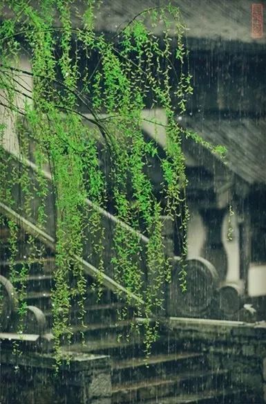 十首听雨诗词:雨声淅淅,你在思念谁?_腾讯网