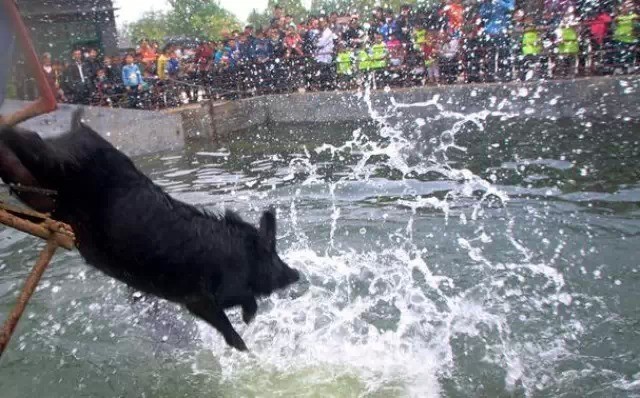 大盘跳水跌近2%!人民日报罕见提示风险 证监会