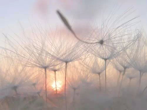 这辈子,你为谁而活?