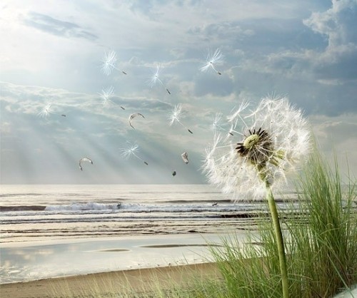 这辈子,你为谁而活?