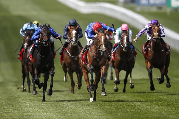 海南赛马热:多个项目欲上马,官方称属企业