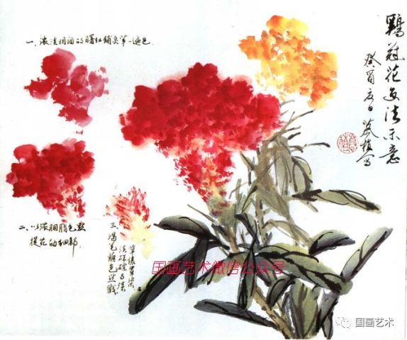 图文教程:草本花卉写意画法之向日葵,美人蕉