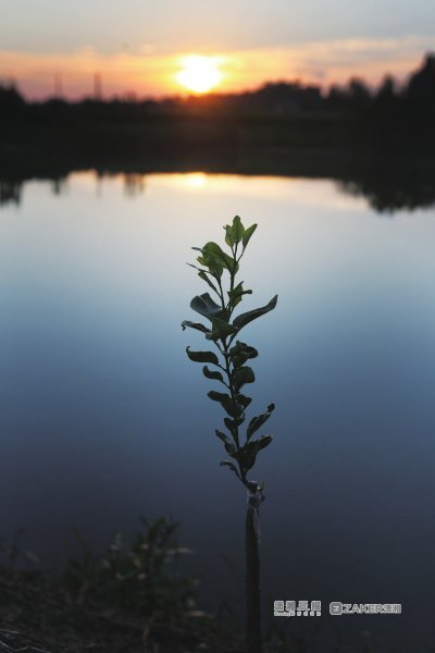 《日子疯长》里的梦溪小镇:光阴慢 老手艺仍在