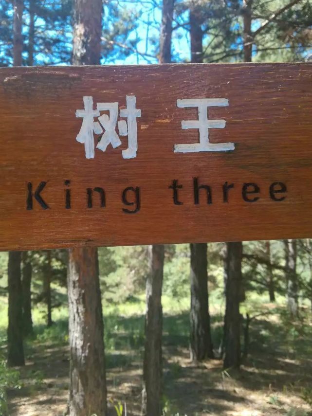 西山公园内一英文标识出错,网友直呼别让