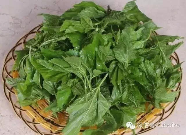 几元钱就能治好你的白头发,太厉害了!