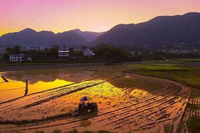 湖北上半年空气质量排名出炉 神农架排全省第一