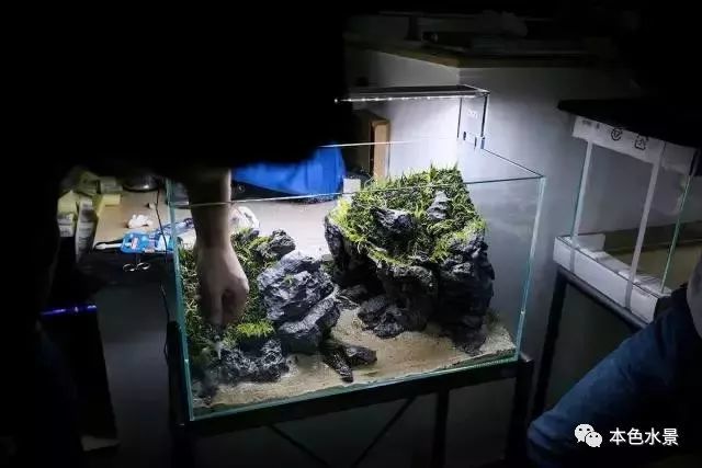 60cm石景缸,简单清爽,30张图手把手教你造景!想玩水草