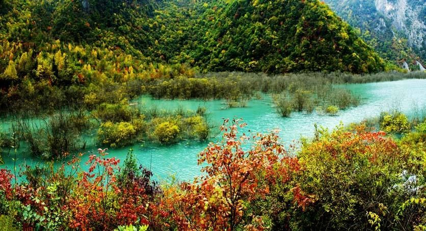 【头条】风景这边独好,山水文县让您清凉一夏!