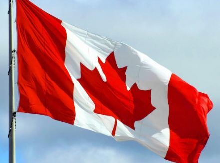 《陪读妈妈》引热议,你也想陪孩子去加拿大吗