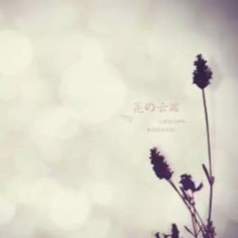 荐号 | 今年只看这些号,满足你的一切需求