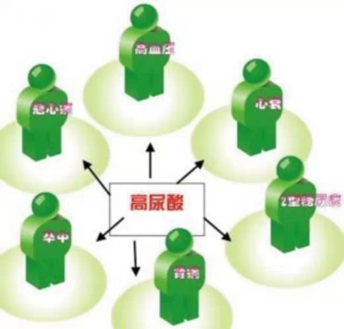 除了痛风 高尿酸还有啥危害