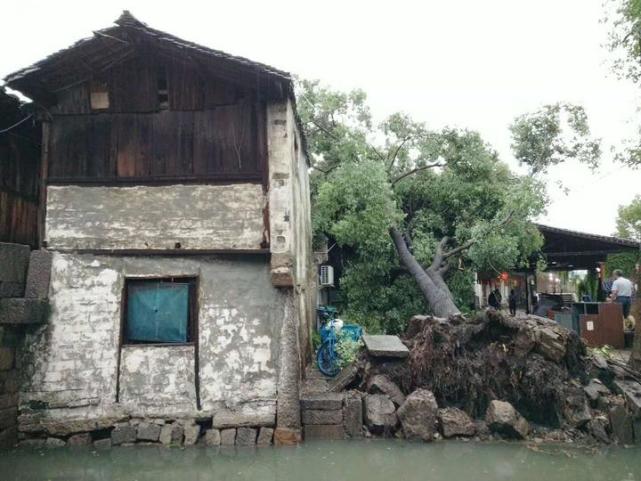 浙江多地7月下冰雹 高架积水可以撑船