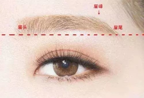 最火眉型？原来眉型才是提升气质的关键！