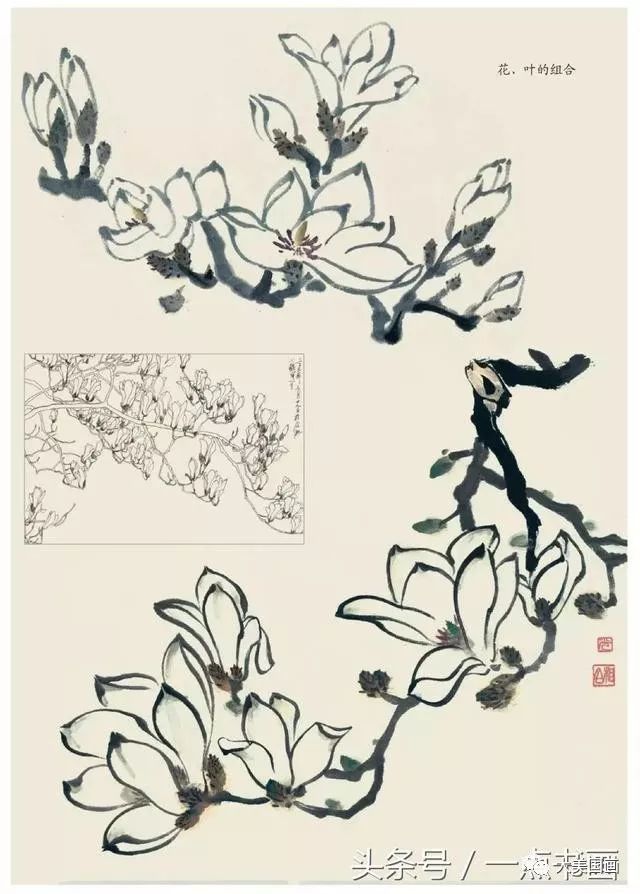 玉兰的写意画法