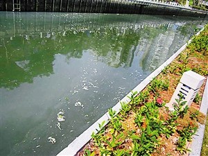 广东揭阳自来水水源被污染 危及数百万人饮水
