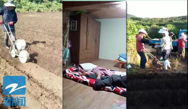 高三毕业打暑假工 社会初体验就遇 陷阱 _大浙