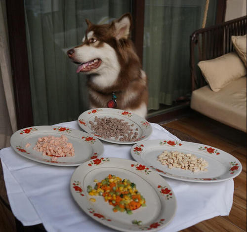 ɿѵһ䴫վ ǵĳҪ찡