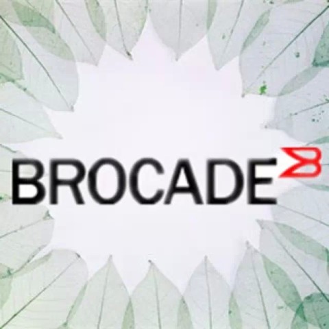 博科IP存储回热如何为其暖身?