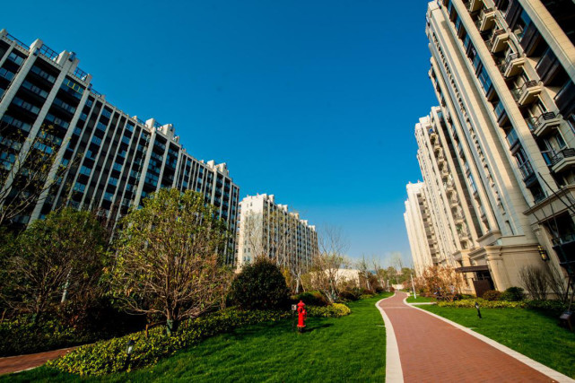 电建洺悦府:把房子种在花园里