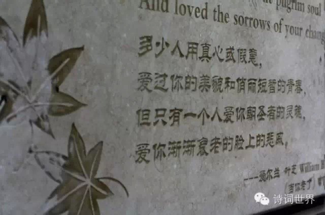 叶芝《当你老了》13个译本,你喜欢哪个?