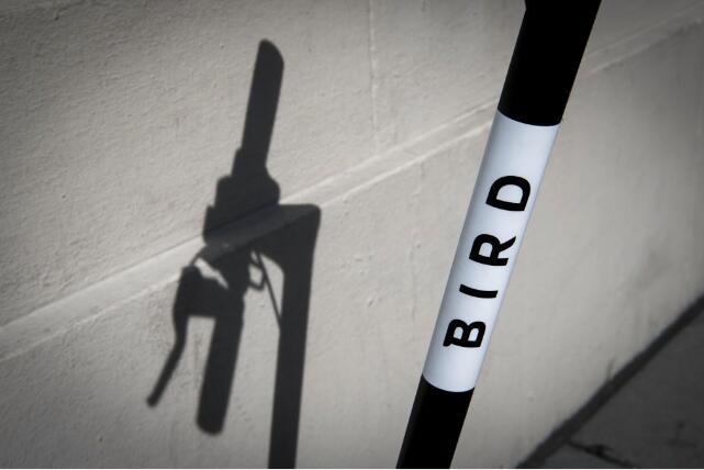 美电动滑板车创企Bird向国际扩张 在法国以色列推出试点项目