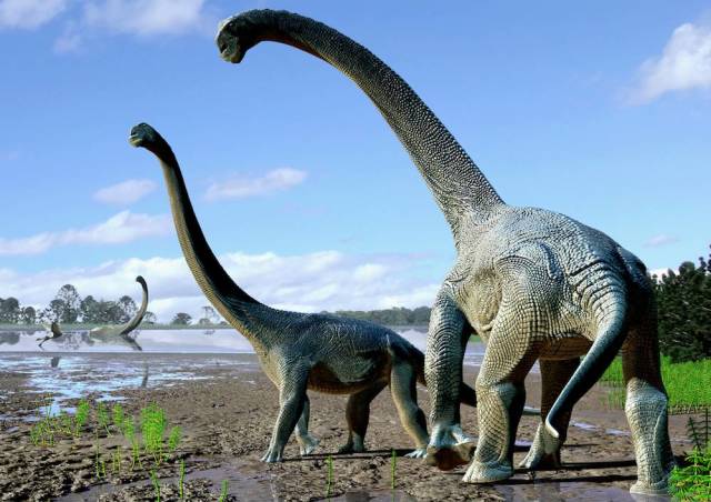 中国发现极为罕见的恐龙新品种,其生存于上亿年前,人称"神奇灵武龙"