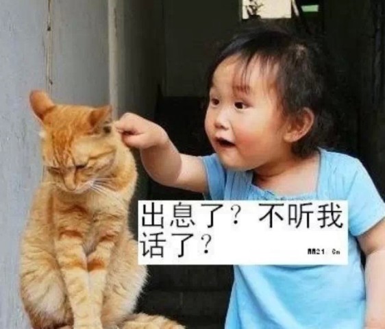 最新10大臭不要脸!