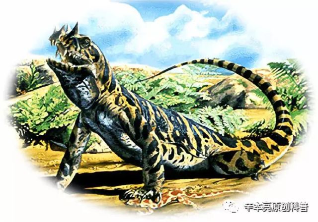 石炭纪典型生物-下孔类动物