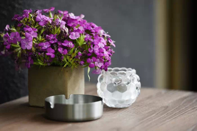 买花可能涉嫌侵犯知识产权:需经品种权人授权