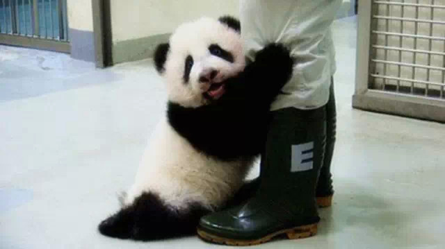 各省人均存款排行榜出炉 咱又拖了后腿 | 财富