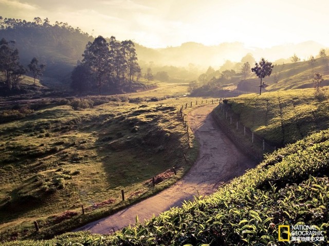我一辈子走过许多地方的路,行过许多地方的桥