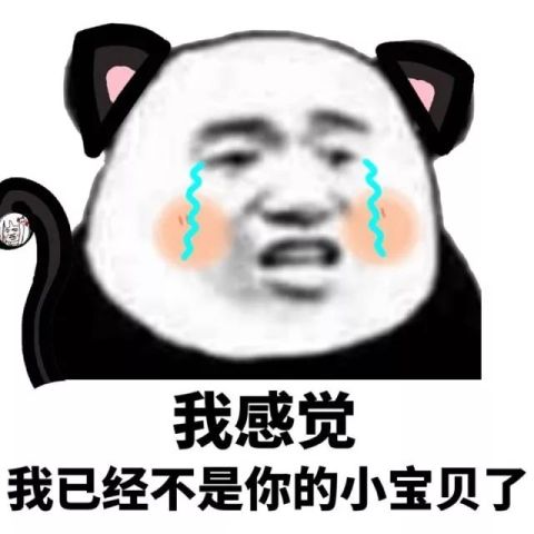 小宝贝表情包合集
