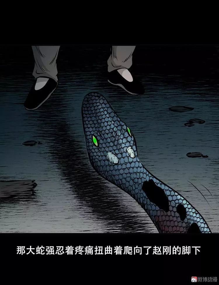 【诡事】蟒蛇渡劫