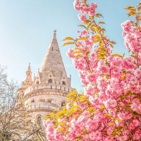 适合女人的微信个性签名,句句唯美有气质,值得