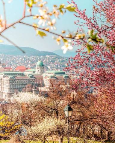 适合女人的微信个性签名,句句唯美有气质,值得