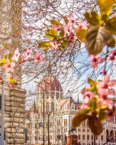 适合女人的微信个性签名,句句唯美有气质,值得