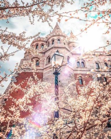 适合女人的微信个性签名,句句唯美有气质,值得