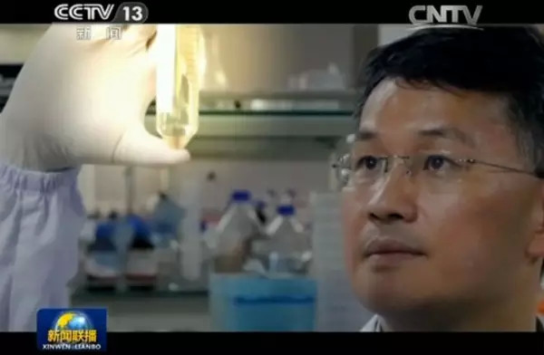 突破 | 中国科学家从尿液中 造 出牙齿 人体断肢