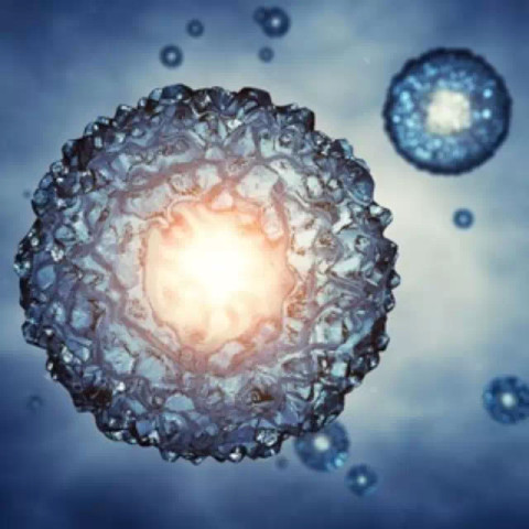 突破 | 中国科学家从尿液中 造 出牙齿 人体断肢