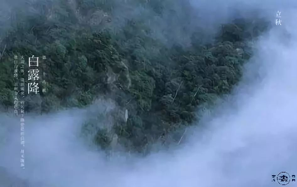 立秋之后,清凉风来 茫茫白露生,晨起有微寒 丛中走一遭,草露湿人衣