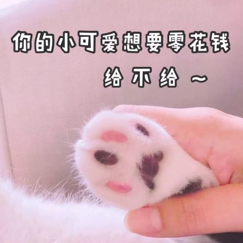 加菲猫逗笑主人,表情自带它再难过都被看到图片表情哈联盟包二图片