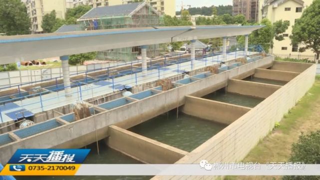 郴州城区部分小区用水紧张 物业可提前预约送